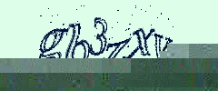 認証画像